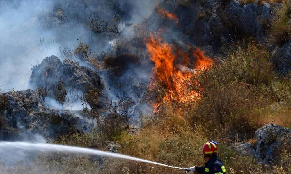 Φθιώτιδα: Ανεξέλεγκτη φωτιά στη Λοκρίδα